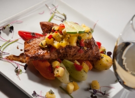 Northern Harvest Salmon